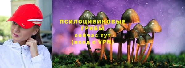 прущие грибы Верхнеуральск